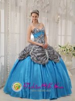 Sumter South Carolina S/C Cheap Aqua Blue Zebra Ruffles Sweet 16 Dress With Sweetheart Taffeta ball gown(SKU QDZY360-GBIZ)