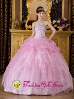 Tiffany & Co Hopkins Minnesota/MN Baby Pink Sweet 16 Dress With gorgeous Strapless Organza Beaded Decorate For Quinceanera Dress[QDZY349-IBIZ]