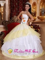 Bonham Texas/TX Romantic White and Light Yellow Quinceanera Dress With Embroidery Decorate