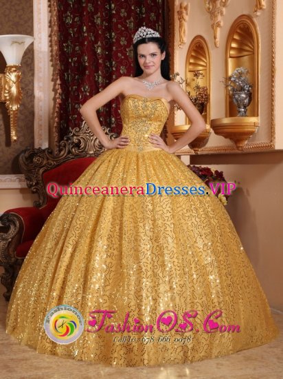 Priest Lake Idaho/ID Gold Ball Gown and Appliques Decorate Bodice For Quinceanera Dress by Paillette Over Skirt - Click Image to Close