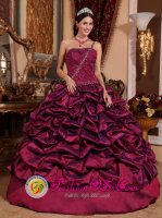 North Haven Connecticut/CT Beaded Decorate and Ruched Bodice Burgundy Pick-ups One Shoudler Quinceanera Dresses
