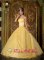 Auburn Nebraska/NE Gorgeous Appliques Decorate Bodice Yellow Quinceanera Dress In New York Strapless Organza Ball Gown