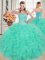 Exquisite Turquoise Sleeveless Organza Lace Up Quinceanera Dresses for Military Ball and Sweet 16 and Quinceanera
