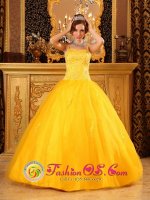 Espanola New mexico /NM Brand New Spaghetti Straps With Beaded Decorate Satin and Tulle Quinceanera Dress(SKU QDZY095-JBIZ)