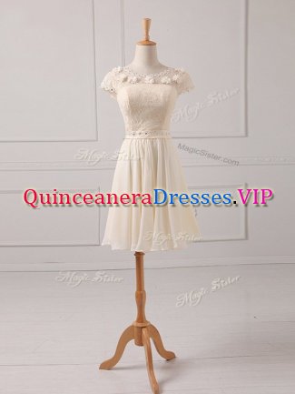 Chiffon Cap Sleeves Mini Length Dama Dress for Quinceanera and Lace and Appliques
