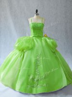 Custom Fit Organza Lace Up Straps Sleeveless Floor Length Quinceanera Gowns Appliques