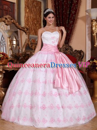 Embroidery Decorate Bodice Pretty Light Pink Stylish Quinceanera Dress For In Emmetsburg Iowa/IA Spaghetti Straps Organza Ball Gown