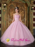 LehrteCustom Made Strapless Pink Quinceanera Dress With Appliques(SKU QDZY096y-6BIZ)