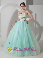 Lehrte Apple Green Organza Quinceanera Dress With Hand Made Flowers For Celebrity
