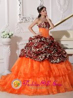 Houilles France Sexy And Chic Sweetheart Neckline With Brush Leopard and Organza Appliques Decorate Quinceanera Dress In Phoenix