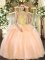 Peach Organza Lace Up Quinceanera Gown Sleeveless Floor Length Embroidery