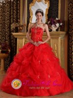 Moca Dominican Republic Red Pick-ups and Appliques Strapless Quinceanera Dress With Tulle Skirt For Sweet 16(SKU QDZY139y-2BIZ)