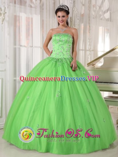 Greers Ferry Arkansas/AR Spring Green Appliques Decorate Quinceanera Dress With Strapless Taffeta and Tulle Ball Gown - Click Image to Close