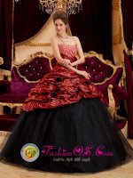 Vergennes Vermont/VT Zebra and Tulle Hand Made Flowers And Beading Decorate Exquisite Red and Black Quinceanera Dress Strapless Ball Gown