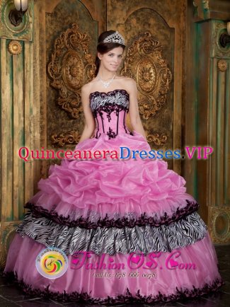 Remseck Germany Elegant Zebra and Organza Picks-Up Rose Pink Quinceanera Dress Wear For Sweet 16