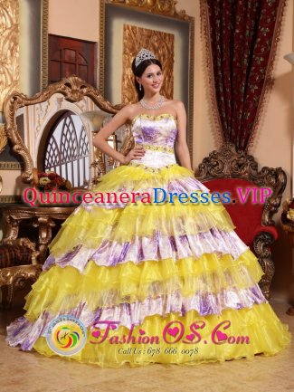 Lander Wyoming/WY Sweetheart Beading and Ruffles Wholesale Multi-color Quinceanera Gowns Made In Organza