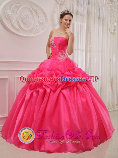 Palm Beach Gardens Florida/FL Ruched and Beading For Popular Hot Pink Quinceanera Dress With Taffeta and organza - Click Image to Close