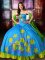 Affordable Multi-color Strapless Lace Up Embroidery Quinceanera Dresses Sleeveless
