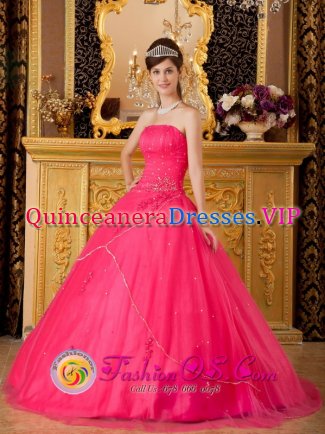 Paris Kentucky/KY A-line Quinceanera Dress With Appliques Strapless Custom Made In Florida