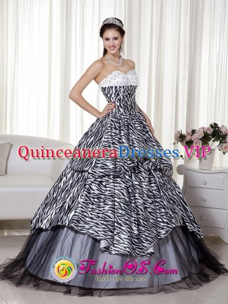 Wonderful Beading and Ruch Quinceanera Dress Luxurious A-line Princess Sweetheart Floor length Zebra and Organza in Rockport Texas/TX