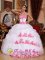 Whittier California/CA Appliques Organza Wholesale Sweet Quinceanera Dress