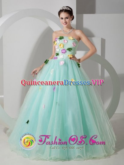 Pudasjarvi Finland Apple Green Organza Quinceanera Dress With Hand Made Flowers For Celebrity - Click Image to Close