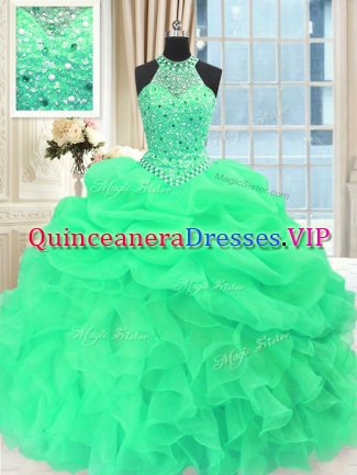 Organza Scoop Sleeveless Lace Up Beading and Pick Ups Quince Ball Gowns in
