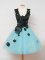 Sweet Tulle Sleeveless Knee Length Dama Dress and Lace