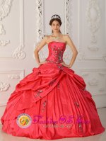 Oak Brook Illinois/IL Exquisite Red New Arrival Strapless Taffeta Appliques Decorate For Quinceanera Dress