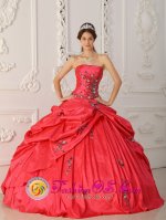 Tiffany & Co Oak Brook Illinois/IL Exquisite Red New Arrival Strapless Taffeta Appliques Decorate For Quinceanera Dress[QDZY315 d-2BIZ]