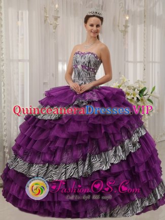 Mequon Wisconsin/WI Zebra and Purple Organza With shiny Beading Affordable Quinceanera Dress Sweetheart Ball Gown