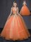 Exquisite Floor Length Ball Gowns Sleeveless Orange Vestidos de Quinceanera Lace Up