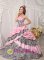 Romantic Pink Quinceanera Dress Taffeta and Zebra For Sweet 16 With Pick-ups Beading Ball Gown In Sandbank Strathclyde