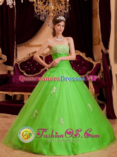 Lowell Massachusetts/MA Spring Green Princess Appliques Decorate Organza Ruching Quinceanera Dress - Click Image to Close