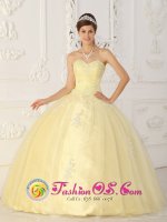 Park Hills Missouri/MO Fashionable Light Yellow Sweet 16 Quinceanera Dress With Sweetheart Ruched Bodice Organza Appliques In New Yock City(SKU QDML063-EBIZ)