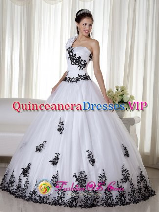 Round Rock Texas/TX One Shoulder White Embroidery Decorate Floor length Taffeta and Organza For Quinceanera Dress