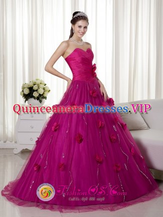 Derbyshire East Midlands Remarkable Brush Train and Hand Made Flowers Quinceanera Dress With Fuchsia Sweetheart