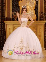 Strapless Ball Gown Appliques Decorate For Starnberg Germany Quinceanera Dress(SKU QDZY089y-6BIZ)
