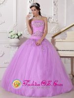 Tiffany & Co Pretty Lavender Beaded embellishment Tulle Quinceanera Dress In DeLand FL.[QDZY667y-5BIZ]