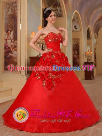 Poplar Montana/MT Hand Made Flowers Exclusive Red Quinceanera Dress For Sweetheart Organza A-line Gown