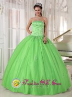 Albacate Spain Spring Green Appliques Decorate Quinceanera Dress With Strapless Taffeta and Tulle Ball Gown