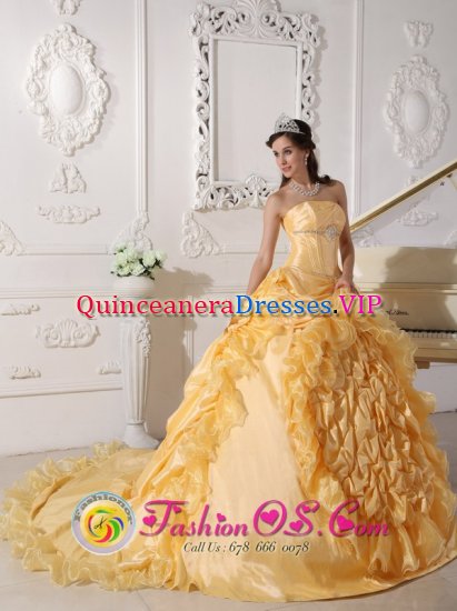 Kinston Carolina/NC Exquisite Gold Quinceanera Dress For Strapless Chapel Train Taffeta and Organza pick-ups Beading Decorate Wasit Ball Gown - Click Image to Close