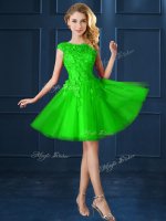 Bateau Cap Sleeves Tulle Quinceanera Dama Dress Lace and Belt Lace Up(SKU BMT0137B-16BIZ)