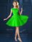 Bateau Cap Sleeves Tulle Quinceanera Dama Dress Lace and Belt Lace Up
