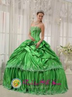 Blacksburg Virginia/VA Beautiful Spring Green For Low Price Quinceanera Dress Beading and Applique Ball Gown(SKU QDZY410-FBIZ)