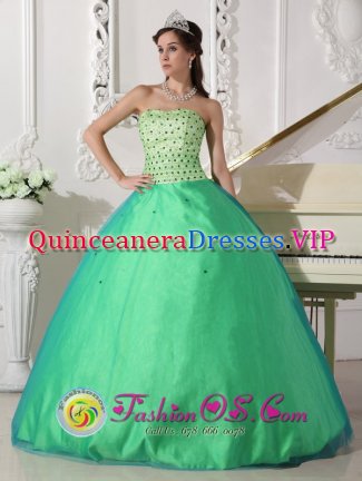 Beading Decorate Bodice Spring Green Tulle Sweet Quinceanera Dresses In Sebastian FL