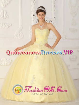 Logan Ohio/OH Fashionable Light Yellow Sweet 16 Quinceanera Dress With Sweetheart Ruched Bodice Organza Appliques In New Yock City