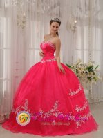 Bellville TX Stylish Wholesale Fushia Sweetheart Appliques Decorate Quinceanera Dresses Party Style(SKU QDZY566y-3BIZ)