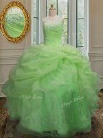 Glamorous Organza Lace Up 15th Birthday Dress Sleeveless Floor Length Embroidery and Pick Ups(SKU PSSW010-2BIZ)