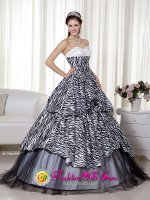 Wonderful Beading and Ruch Quinceanera Dress Luxurious A-line / Princess Sweetheart Floor-length Zebra and Organza in West Warwick Rhode Island/RI(SKU MLXN105 y-6BIZ)